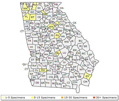 The range of Fraxinus biltmoreana